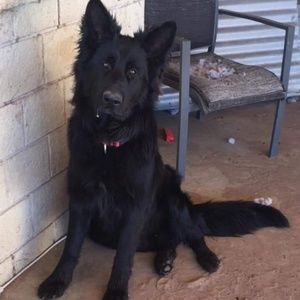 Meet your Posher, Kat